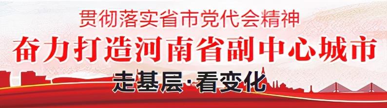 南召：办营业执照 服务到村里｜贯彻落实省市党代会精神 奋力打造河南省副中心城市 走基层·看变化