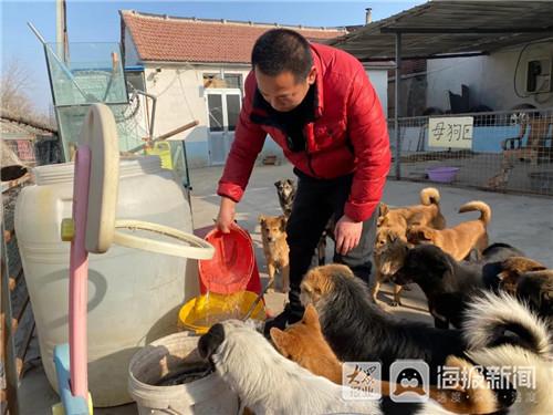 龙口爱心小哥改造“流浪狗救助基地”街头的“毛孩子”们有家了