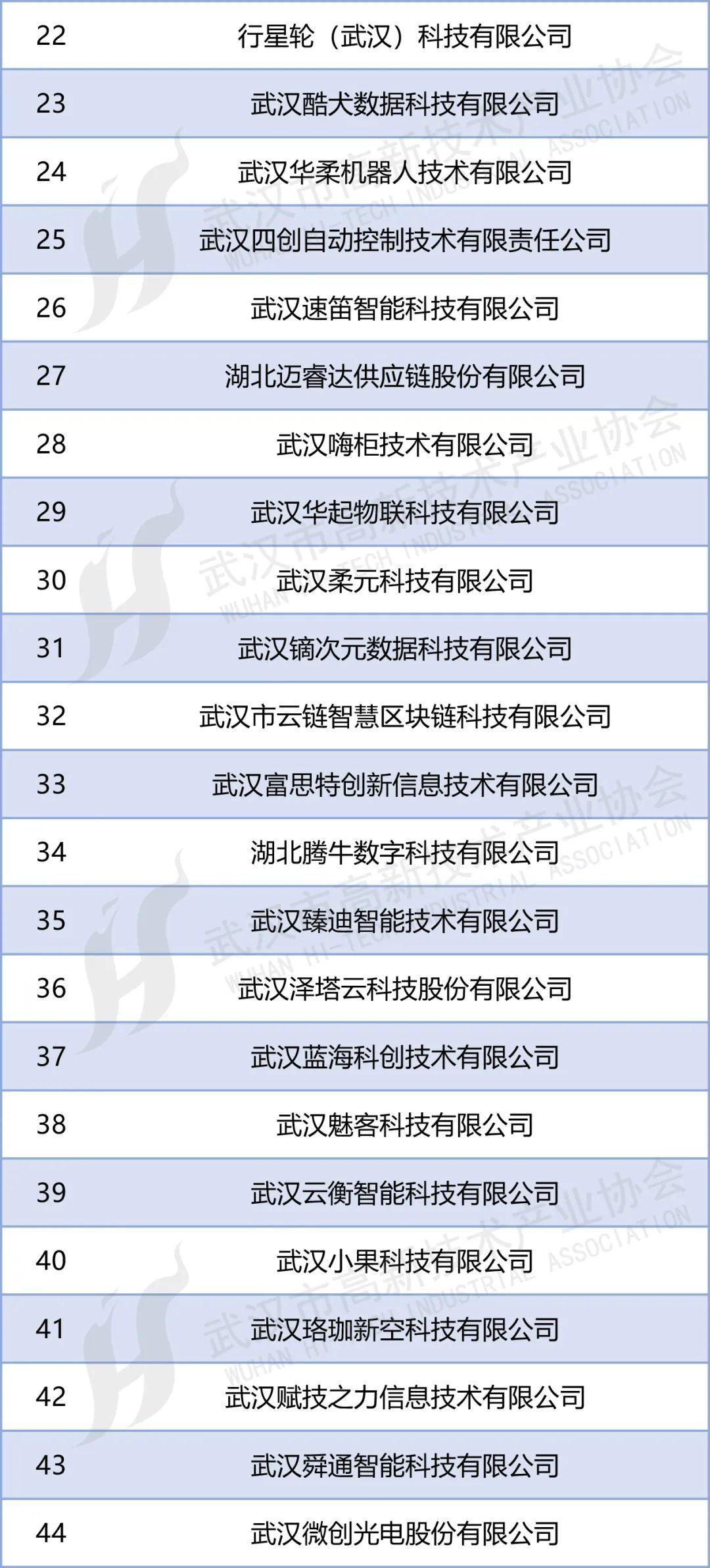 第四批53家武汉人工智能企业名单发布