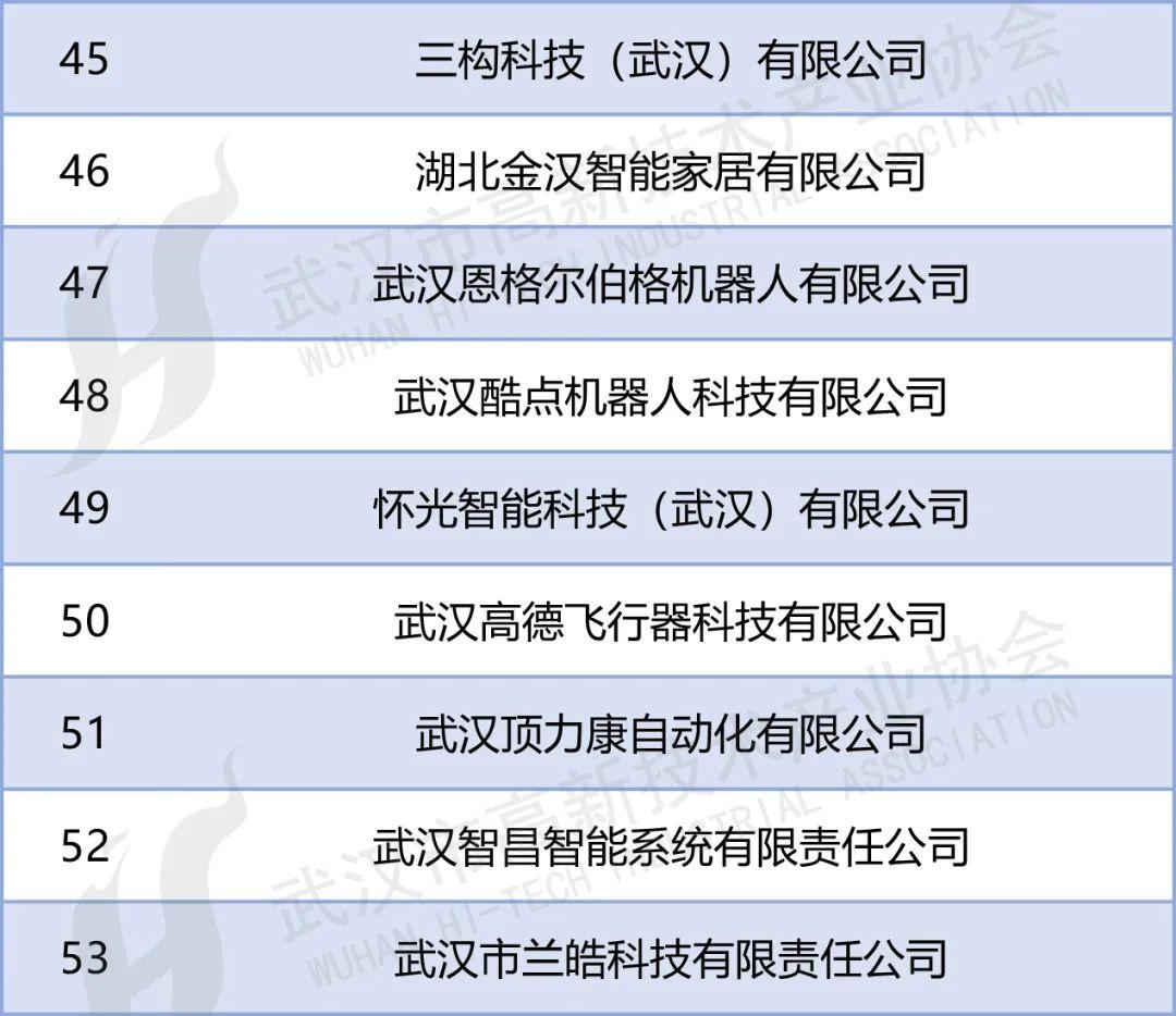 第四批53家武汉人工智能企业名单发布