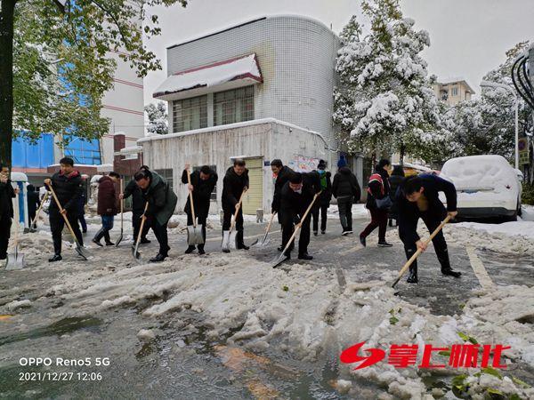 市农业农村局积极组织党员干部开展扫雪除冰行动