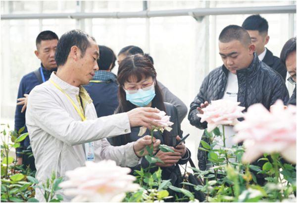 “10大名花”宣传推介活动“圈粉”又“圈心” 推动云花产业渐入佳境