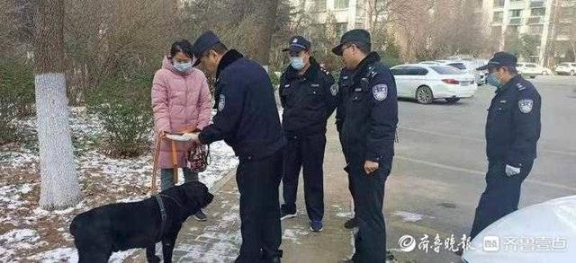 济南开启养犬稽查，对不文明养犬多发地进行重点整治