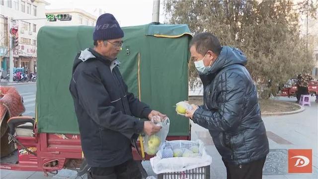 胡占新：培育香梨新品种 丰富市民“果盘子”