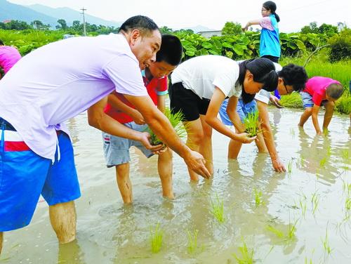 灌口田头村：耕读传家弘新风 助农服务到田头