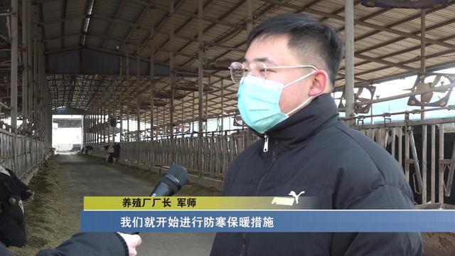 小店区：防寒保暖第一位 多措并举确保牲畜过冬