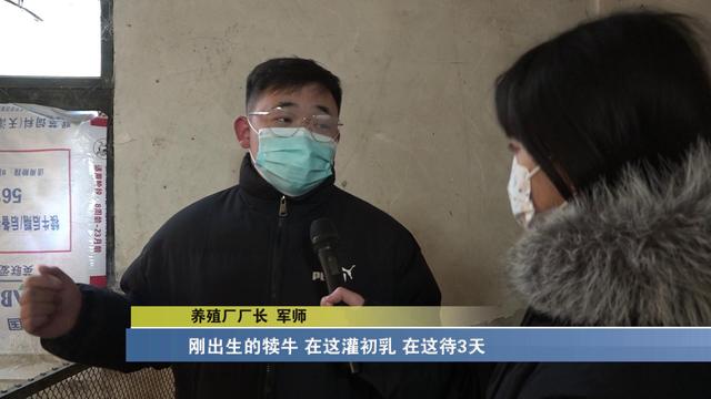 小店区：防寒保暖第一位 多措并举确保牲畜过冬