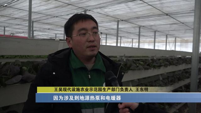 太原：科技助力农业生产 蔬菜大棚生机盎然