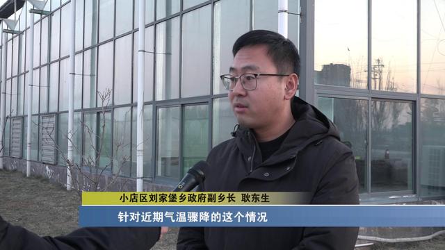 太原：科技助力农业生产 蔬菜大棚生机盎然