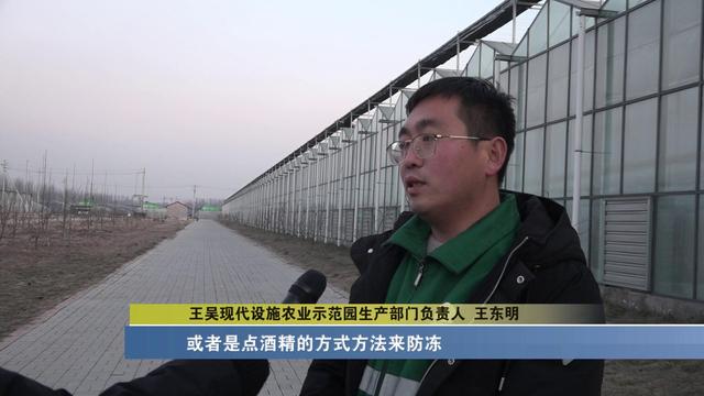 太原：科技助力农业生产 蔬菜大棚生机盎然