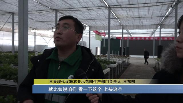 太原：科技助力农业生产 蔬菜大棚生机盎然