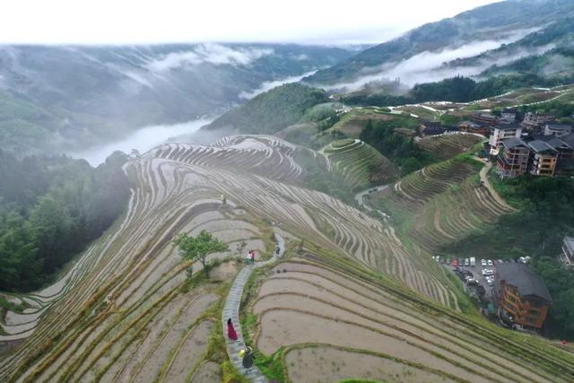 在广西率先推行“一村一项目”，桂林市活用资源推进村集体经济高质量发展