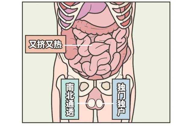 漫画科普：本是同根生，相煎何太急！