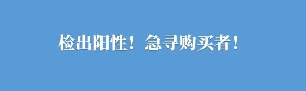 一组数字收藏2021，致敬圳能量！