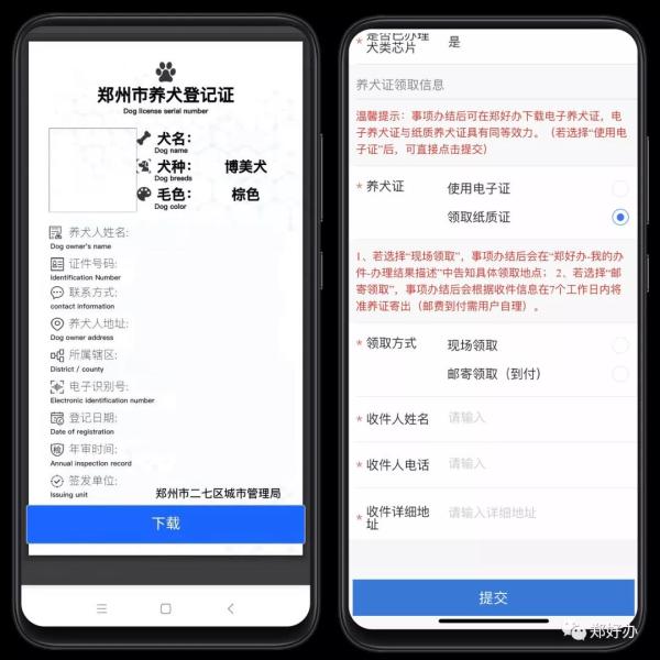 郑州人 郑好办上线“养犬一件事” 出门遛狗带着电子养犬证就能作证明