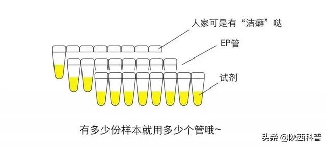 核酸检测结果为什么出来那么慢？带你一文看懂