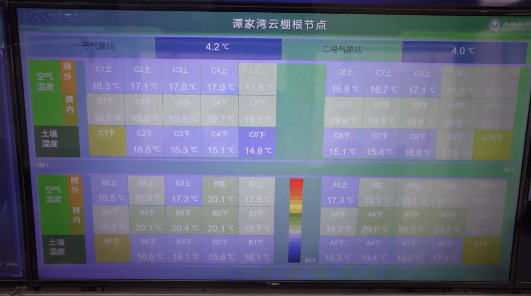 大时代，好日子｜新农人刘博文：在智慧农业的道路上逐梦奔跑