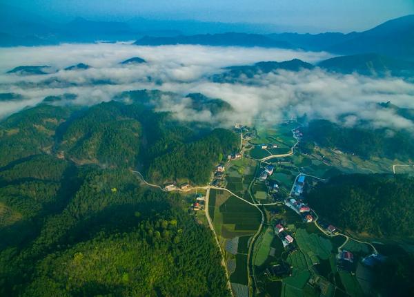 “绿水青山”变“金山银山” 生态基地建设助力福建青水乡村振兴