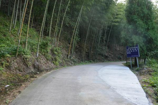 “绿水青山”变“金山银山” 生态基地建设助力福建青水乡村振兴