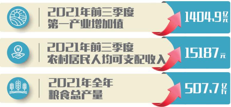 “数”说开局看亮点丨 辽宁:夯实现代农业基础全面推进乡村振兴