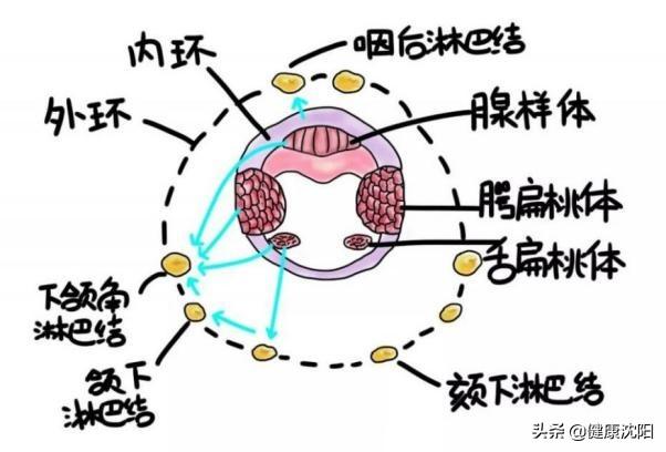 健康科普堂 | 流鼻涕真的是感冒吗？儿童鼻窦炎的那些事