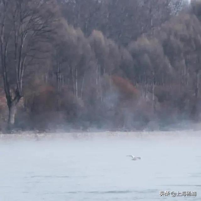 天气早知道丨今日小寒，“湿冷魔法”又开始了！