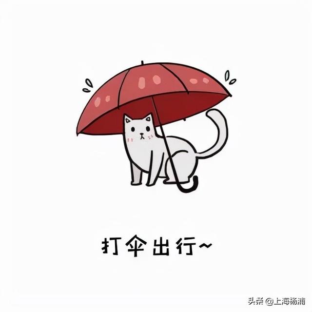 天气早知道丨今日小寒，“湿冷魔法”又开始了！