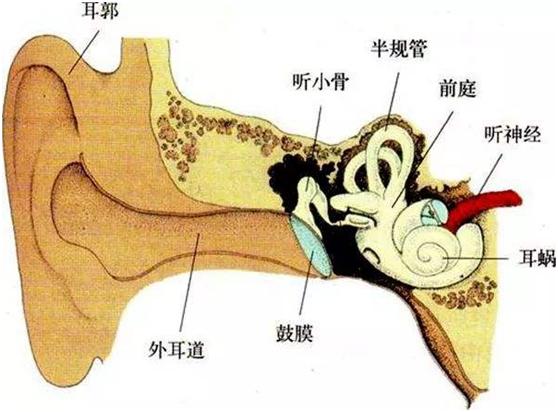 重磅！刚刚从荆门一医传出好消息...