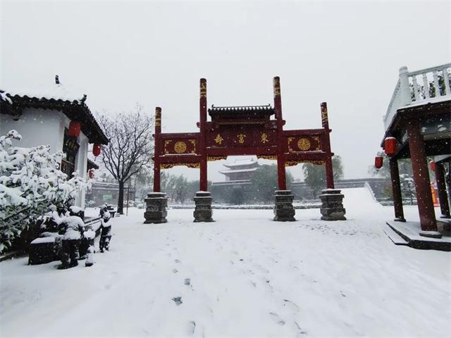 今日小寒，带你邂逅阿胶世界的绝美风景