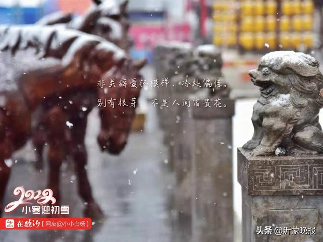 2022·临沂丨小寒迎初雪