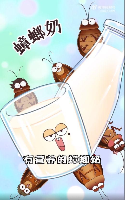 yue上热搜！1杯更比3杯强！朋友，蟑螂奶了解一下~