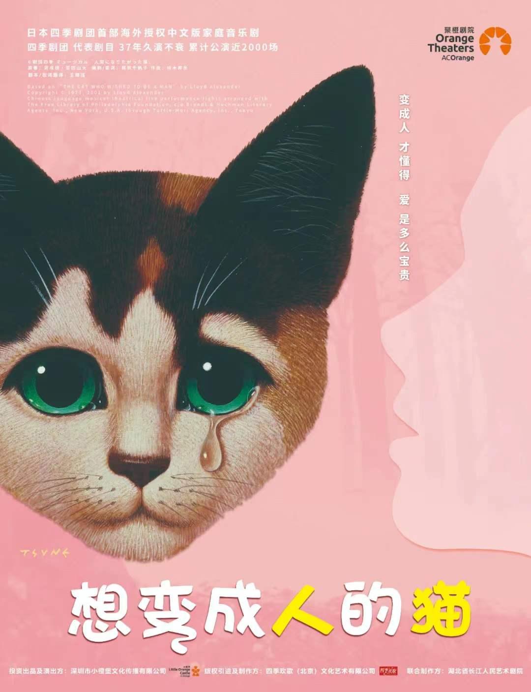 【8折福利】萌宠驾到！家庭音乐剧《想变成人的猫》本周开演！