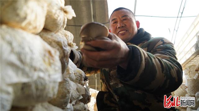 河北深泽：小寒时节冷 大棚果蔬鲜