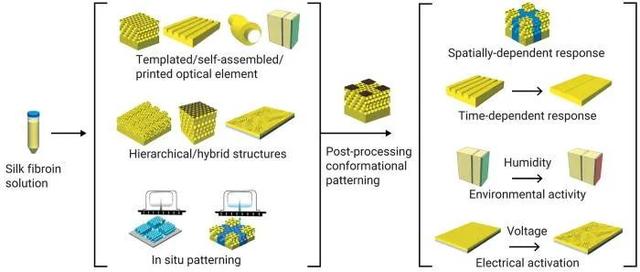 柔性生物材料、纳米光学器件、可食用涂料、智能建筑材料……我说的是蚕丝的未来用途