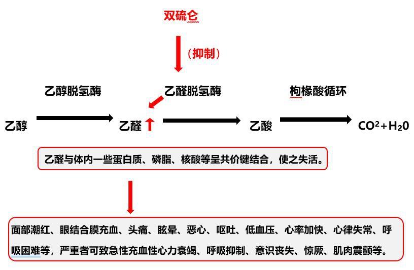 网传“头孢配小酒，唢呐吹一宿” 真的吗？