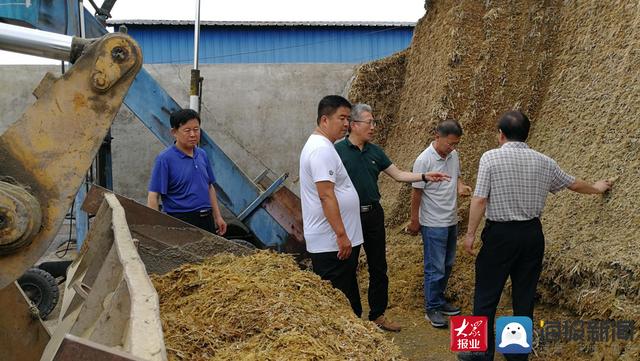 全国首批！这家“生态农场”有点牛——莱西市怡禾家庭农场入选全国“生态农场”