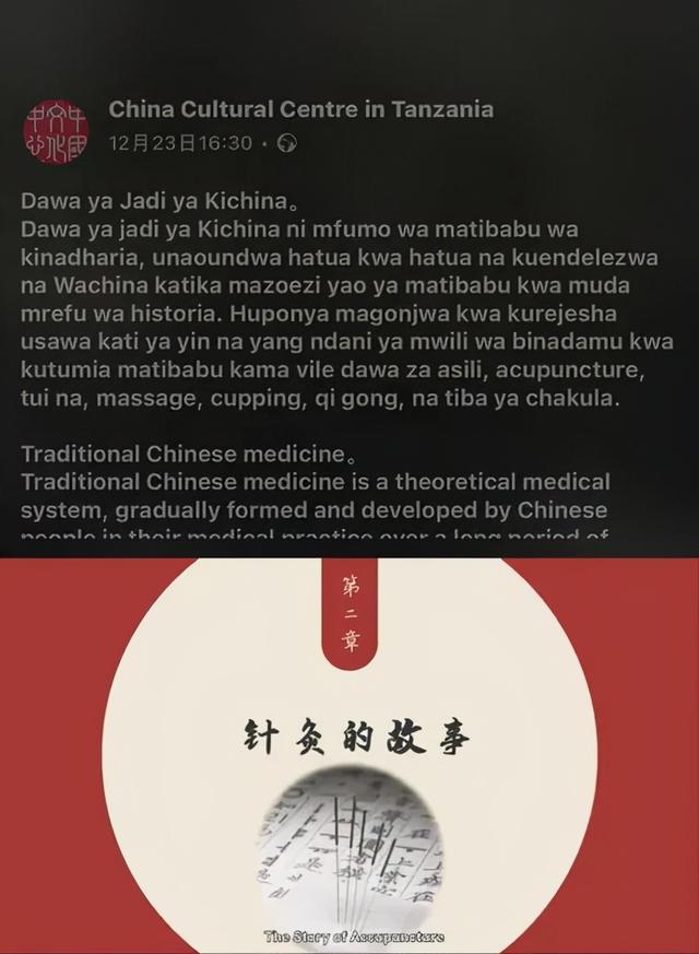 坦桑尼亚中国文化中心线上分享魅力独具的中医药文化