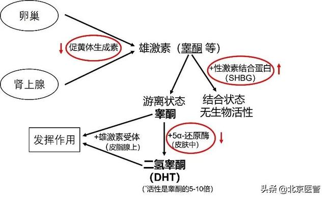 避孕药还能治疗痤疮？防“痘”有什么需要注意的？