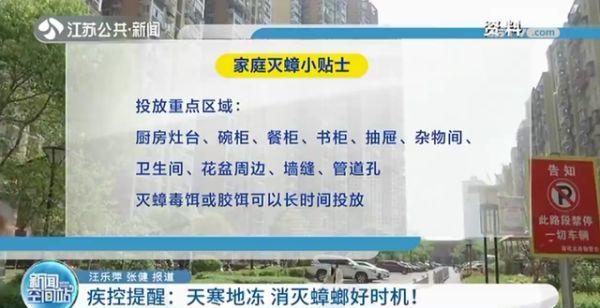 江苏疾控：杀一只越冬蟑螂等于消灭几十只蟑螂二代