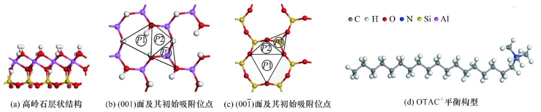 陈军等：季铵盐在高岭石表面吸附的分子模拟研究