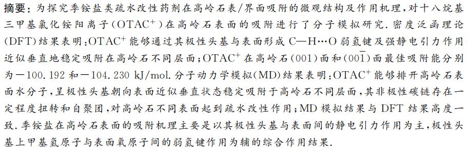 陈军等：季铵盐在高岭石表面吸附的分子模拟研究