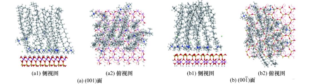 陈军等：季铵盐在高岭石表面吸附的分子模拟研究