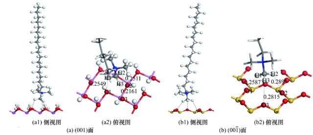 陈军等：季铵盐在高岭石表面吸附的分子模拟研究