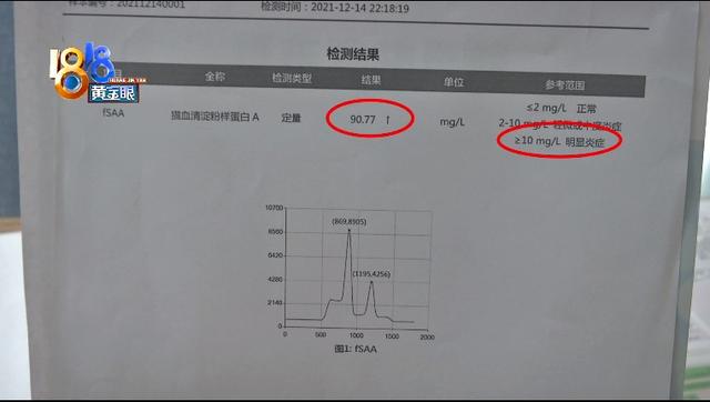 半年前的“暂养”，生病后说是“送”？