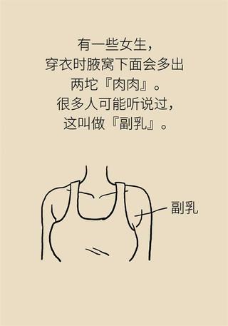 副乳也会得乳腺癌？关于它你了解多少