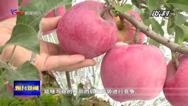 烟台市农业农村局：奋力推进乡村全面振兴