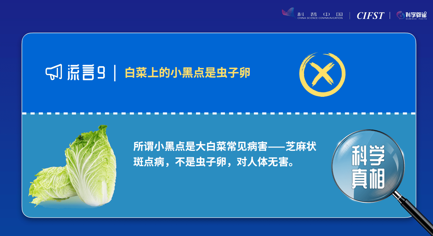 速冻丸子最好别吃？吃大蒜能杀灭新冠病毒？真相来了！2021食品安全与健康流言榜揭晓