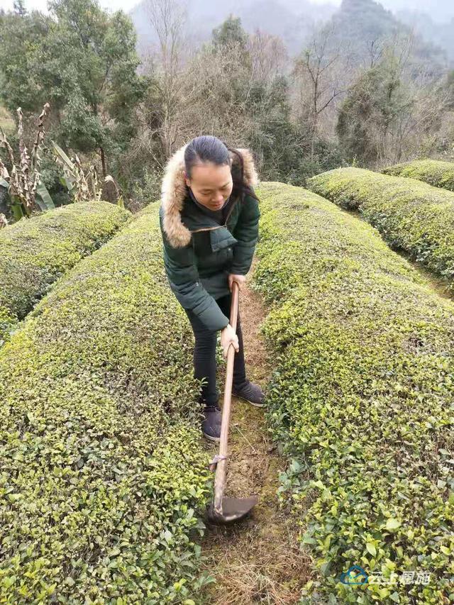 农丽梅：自强不息建家园 尊亲敬友路更宽