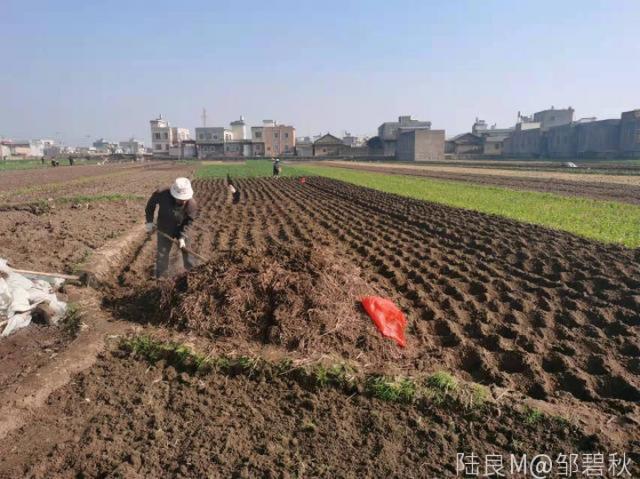 三岔河镇绿色种养循环试点项目顺利实施