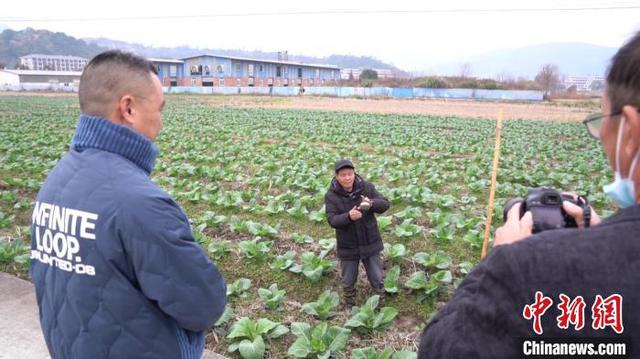 浙江农民“触网”：田间独乐乐不如众乐乐